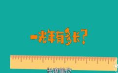 一公里多远(距离多少米？探究一公里到底有多远)