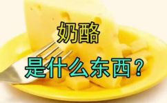 干酪是什么东西(干酪是什么？干酪的定义种类制作方法大全)