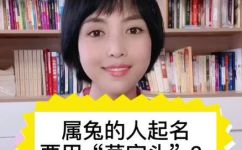 草字头一个兔念什么(兔子念什么？草字头的秘密揭晓)