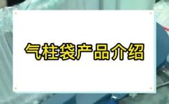 气妥的近义词和反义词(近义词：气泡气囊气球气垫气袋)