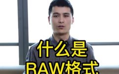 lrv是什么格式(了解LRV格式：它是什么？如何使用？)