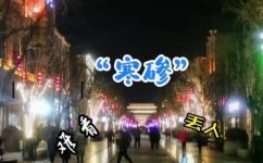 寒掺是什么意思(寒掺含义解析，了解这个词的来源和用法)