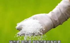 有机氮包括什么(有机氮的定义及常见类别，让您轻松了解有机氮相关知识)