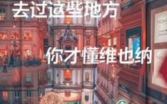 丰富多腔是什么(深度解析丰富多腔一场旅途中的音乐盛宴)