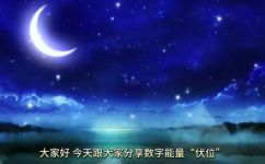 1154什么意思(解读1154的含义，揭秘其背后的故事与秘密)