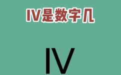 vll是什么数字(揭秘vll数字的含义，探析vll数字背后的秘密)