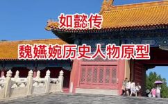 魏嬿婉历史原型(揭秘魏嬿婉历史原型：了解这位女子的真实故事)