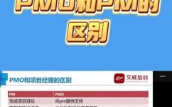 项目pm什么意思(项目PM的含义及职责解析：了解项目管理师的职业特点)