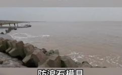 什么的堤岸填合适的词(堤岸填什么？教你选对填充材料，保护海岸生态)