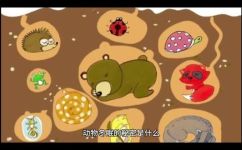刺猬冬天会冬眠吗(刺猬冬眠的秘密：冬天里它们是否会进入沉睡状态？)