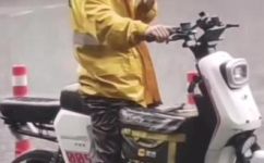 鸡迟宿什么风雨不久到(鸡迟旅店：无论风雨，都能准时为您服务)