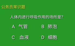 呼吸作用的场所是什么(哪些场所适合进行呼吸作用？)