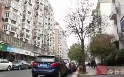 跳舞草是什么是毒品吗(跳舞草菠萝莓是毒品吗？了解该草的真相及副作用)
