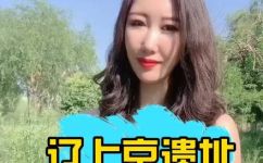 上京是现在的哪个城市(现在上京指的是哪座城市？详解所有可能的上京城市列表)