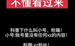 粉籍是什么意思(解密粉籍：深入探究粉丝文化的含义和影响)