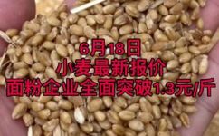 水的容重是多少kn/m3(2021年最新水的容重是多少knm3？营养详解)