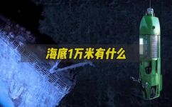 什么海为家(探索海洋生活：什么样的海作为家更适合？)