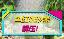 鱼缸底部水怎么弄出来(鱼缸水底如何有效清洁和疏通？)
