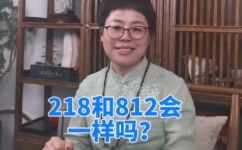 218什么意思(探讨218的意义，了解数字218的含义与相关领域应用)