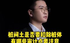 什么是桩间土(桩间土定义及其作用 - 了解桩间土在基础工程中的重要性)