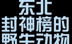 形容词什么地跑着(神奇的形容词：在哪里跑着？)