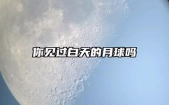 白天为什么有月亮(白天月亮现身？揭秘月球在日间的奥秘)
