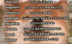 提升的同义词有哪些(如何提高你的排名？同义词大集合：提升升高增强加强改善优化增加提升等)