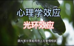 什么叫光晕效应(详解什么是光晕效应？学会这个技巧让你的图片更加美丽)