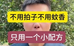 怎么杀死蚊子(蚊子如何杀死：高效方法与技巧，让你轻松解决蚊子问题)