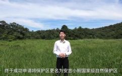 中国小鲵的特点(中国小鲵的特点及其生态习性解析)