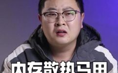 马甲条是什么意思(揭秘马甲条的含义，了解马甲条的作用与重要性)