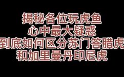 印尼虎鱼和苏门答腊虎鱼的区别(印尼虎鱼和苏门答腊虎鱼有哪些不同之处？)