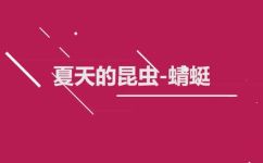 蜻蜓的特点和生活特征是什么(蜻蜓的特点和生活特征揭秘，科普蜻蜓的习性和生存方式)