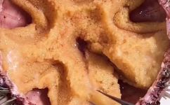 海胆怎么吃(海胆的正确食用方法和注意事项：让您尽情享受美味)