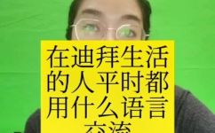 迪拜语言是哪种(迪拜的官方语言是什么？探究迪拜语言的种类)