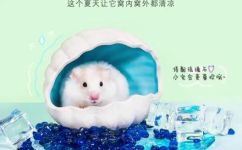 仓鼠怕阳光吗(仓鼠是否害怕阳光？如何正确照顾它们？)