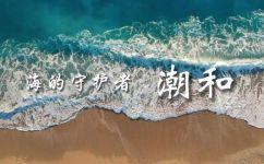 大海是渔民的什么(海洋是渔民的生命之源 - 探索渔民和海洋的关系)