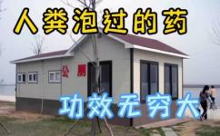 人中黄是什么东西(如何正确使用人中黄？解析人中黄的功能和使用方法)