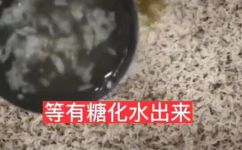 大米如何快速发酵(快速发酵大米的秘诀：让你的大米在几小时内发酵)