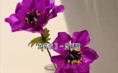 女主是狐狸的小说有没有(寻找狐狸女主的小说推荐)