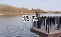 饶阳在哪里(指南 饶阳地理位置交通路线景点介绍及旅游攻略)