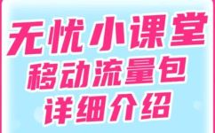 境外流量是什么意思(深入解析境外流量：含义应用及相关注意事项)