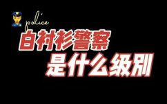 二级警长是什么意思(深入解析二级警长的定义和作用)