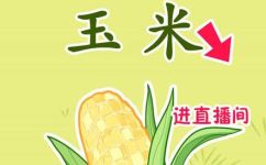 玉米的拼音是什么(揭秘玉米拼音是什么？原来这些常见的词汇也和玉米有关)