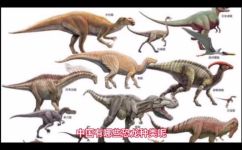 中国有哪些恐龙(全面了解中国境内的恐龙种类 )