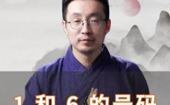 0608数字是什么意思(深入解析0608数字的含义与作用)