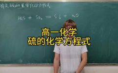 硫离子化学式(如何理解硫离子化学式并应用于化学计算？)