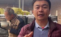 如何鉴别打蜡苹果(如何正确鉴别打蜡苹果，防止购买假货？)