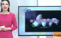 家里有小黄蚂蚁的原因(家庭常见的小黄蚂蚁为什么会出现？常见原因分析)