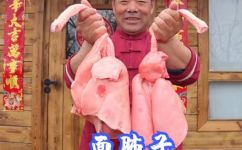 羊肺能吃吗(羊肺可食用吗？营养价值和食用方法介绍)